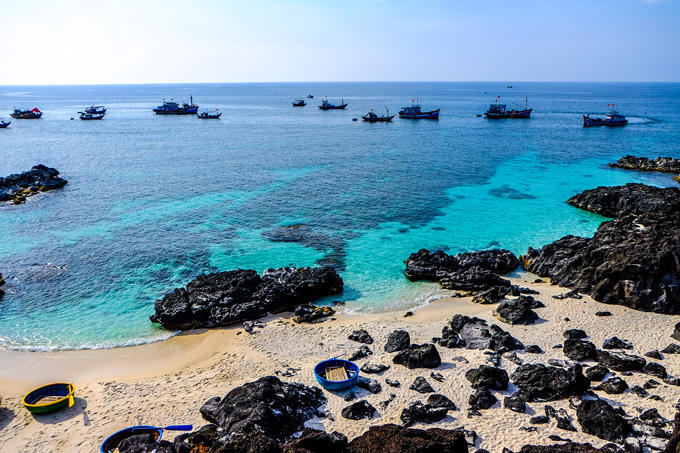 cam-trai-tren-mieng-nui-lua-o-ly-son