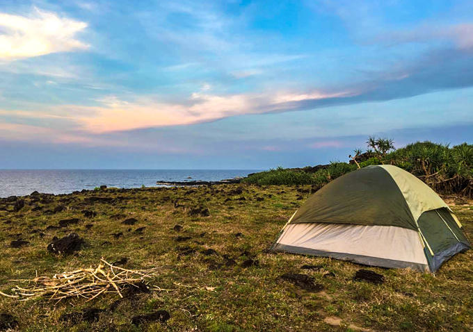 cam-trai-tren-mieng-nui-lua-o-ly-son-1