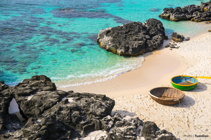 cam-trai-tren-mieng-nui-lua-o-ly-son-6