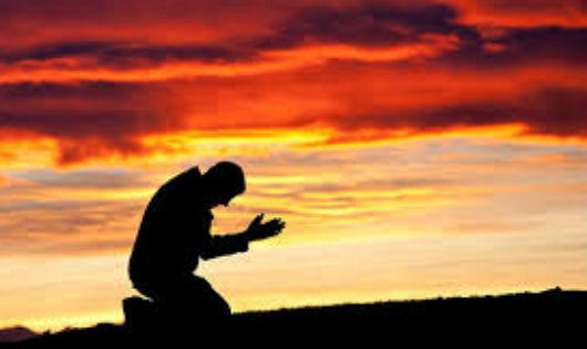 “Ngựa bạch báo oán” và chuyện bi thương về những cái chết của một gia đình 3 đời làm nghề đồ tể  