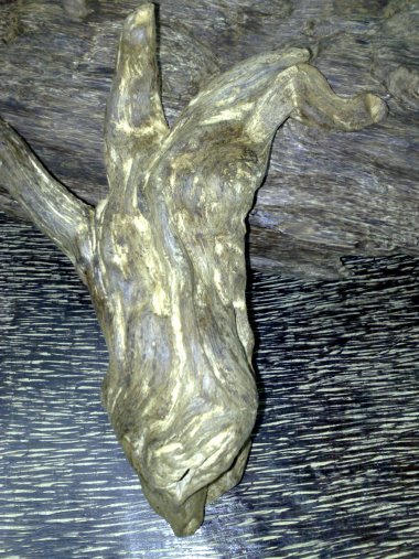 Luật bất thành văn trong thế giới trầm hương