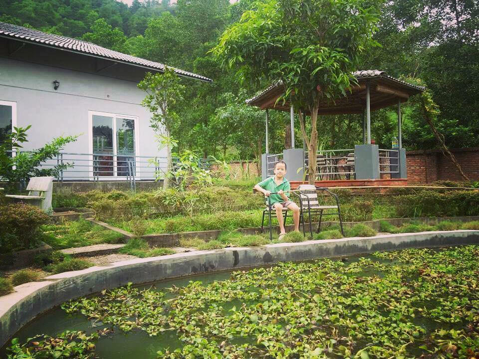 5 homestay de dua ca gia dinh 'di tron' hinh anh 4