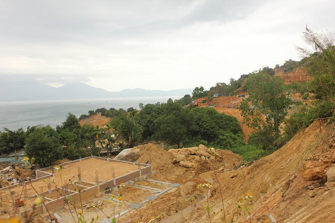 Chờ một quyết định có tầm, có tâm vì đàn voọc Sơn Trà 