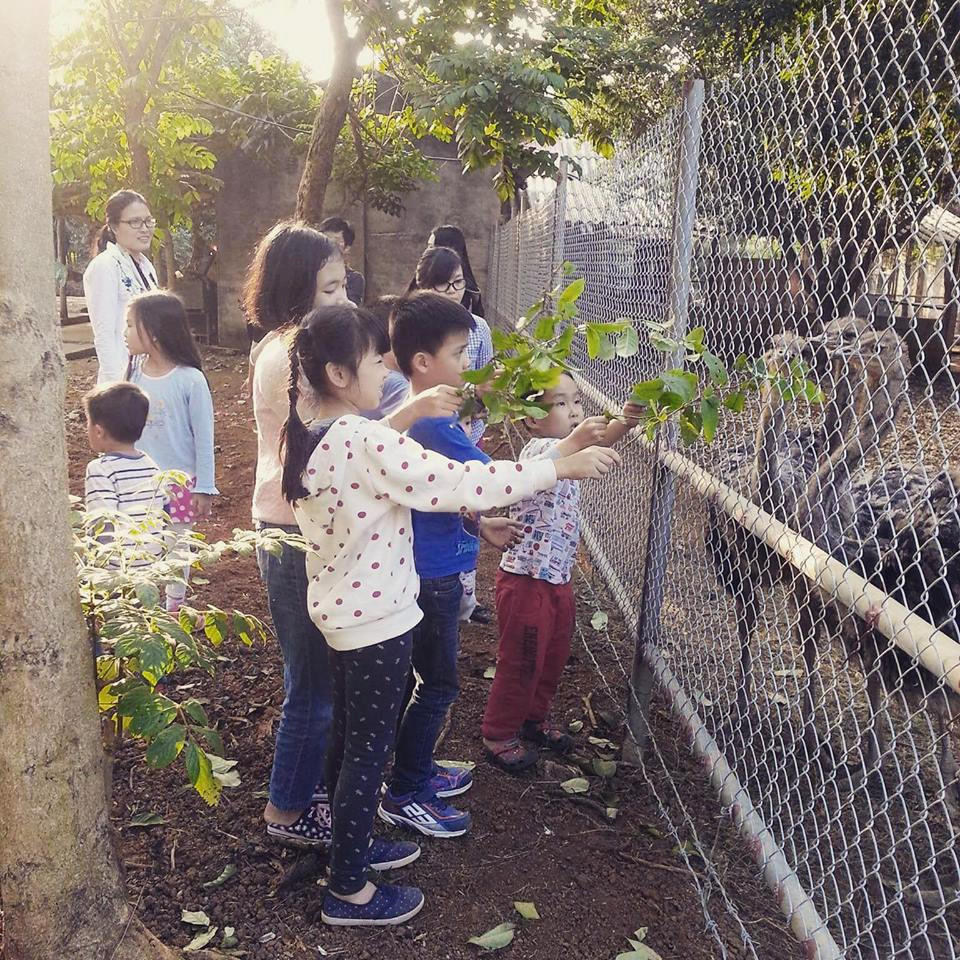 5 homestay de dua ca gia dinh 'di tron' hinh anh 7