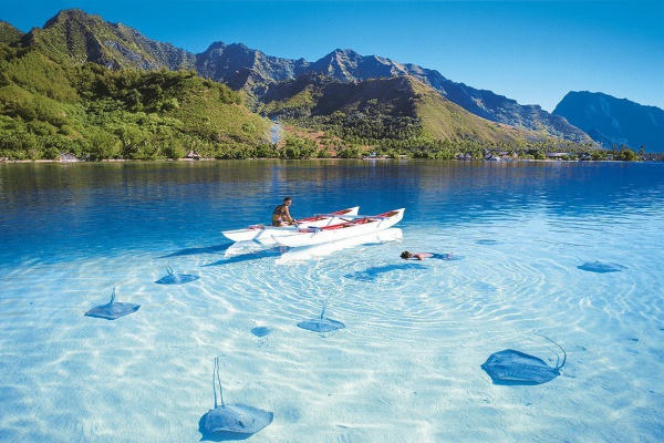 Kết quả hình ảnh cho Cảnh đẹp Sri Lanka