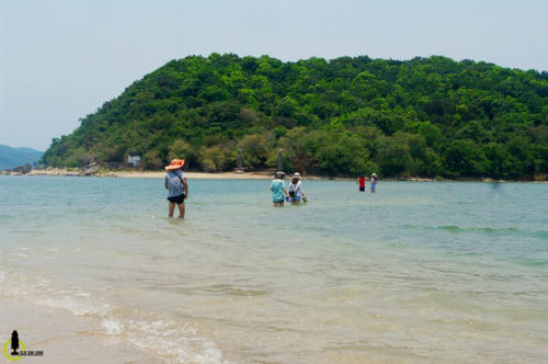 ba-con-duong-cho-khach-di-bo-giua-bien-o-viet-nam-1