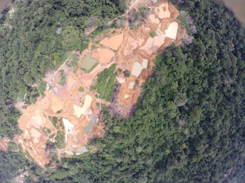 Myanmar: Gian nan cuộc chiến chống...cưa máy