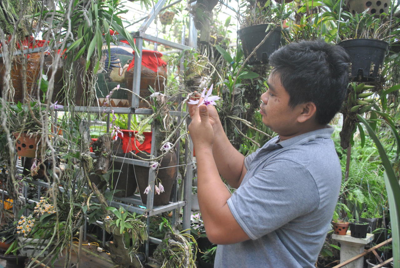 Người đàn ông làm việc ngược đời “chở lan vào rừng”