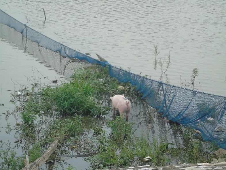 Hà Nội: Dự án cải tạo hồ Định Công chưa khánh thành đã xuống cấp nghiêm trọng