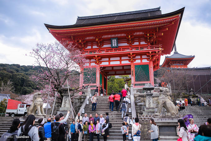 Kiyomizu Dera - chùa cổ nổi tiếng nhất Kyoto