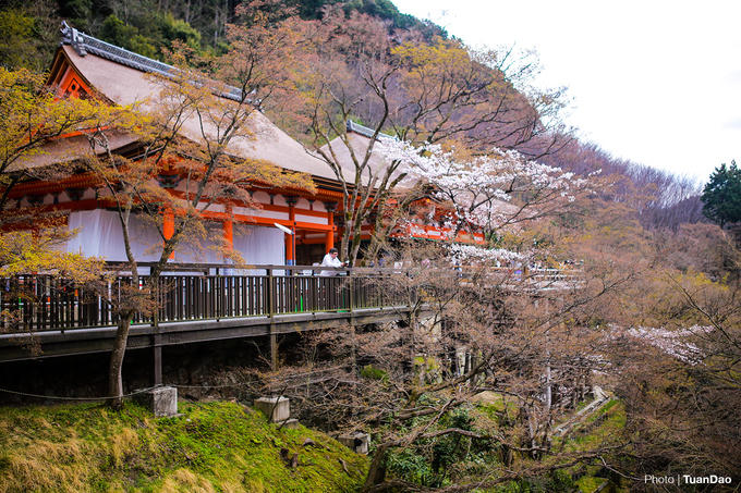 Kiyomizu Dera - chùa cổ nổi tiếng nhất Kyoto