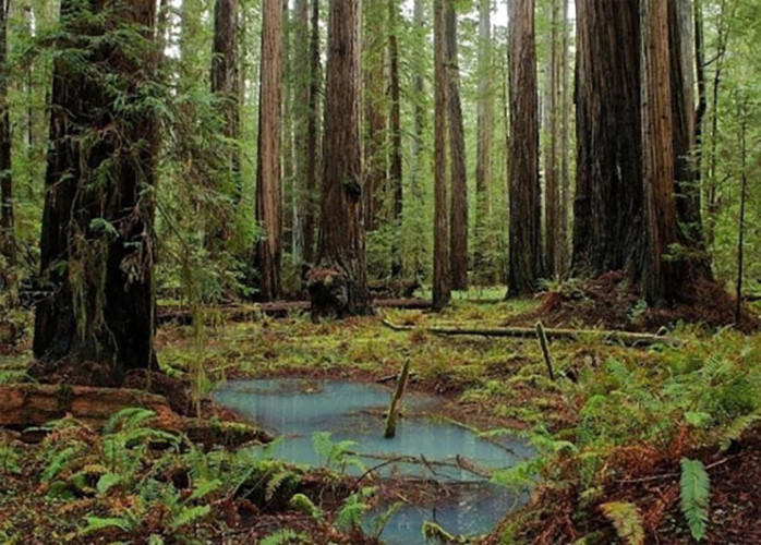 10 dia diem khong the bo qua khi den california hinh 5