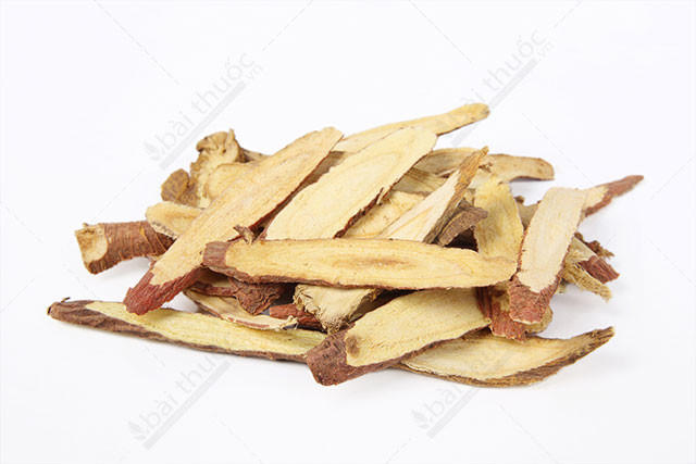 Nhân trần và cam thảo: Dùng phối hợp lợi hay hại?