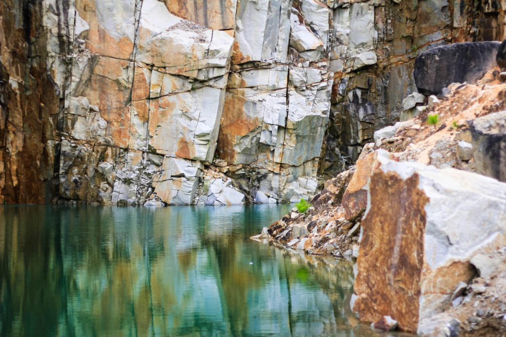 'Tuyet tinh coc' dep nhu mo o Da Lat hinh anh 3