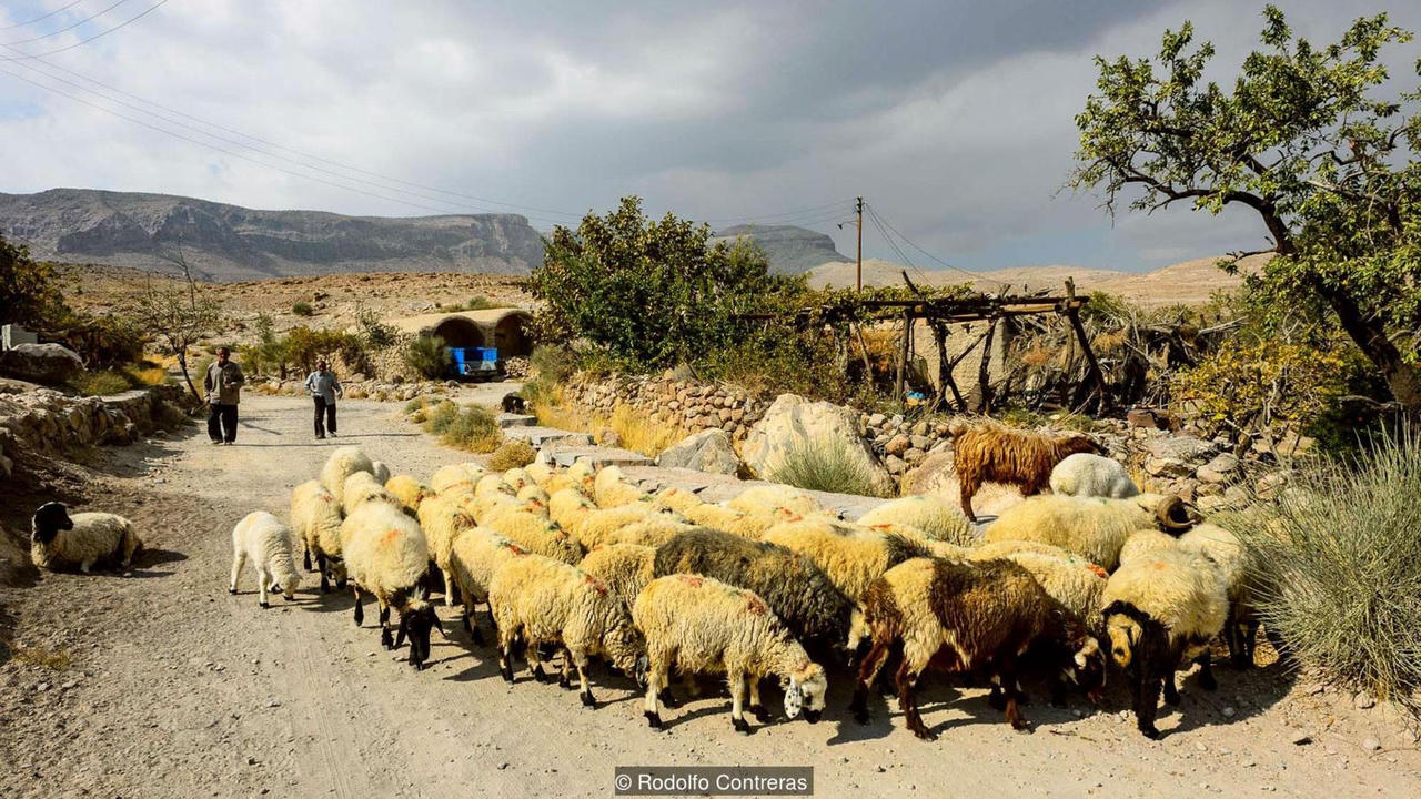 Meymand- Ngôi làng cổ nằm dưới... hang động 