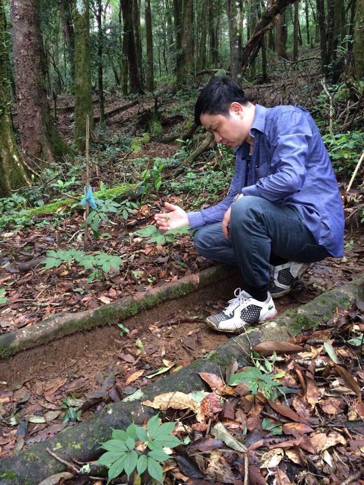 Thượng tôn pháp luật để bảo tồn tinh hoa Nam y Việt