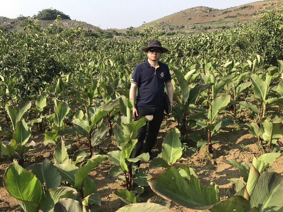 Thượng tôn pháp luật để bảo tồn tinh hoa Nam y Việt