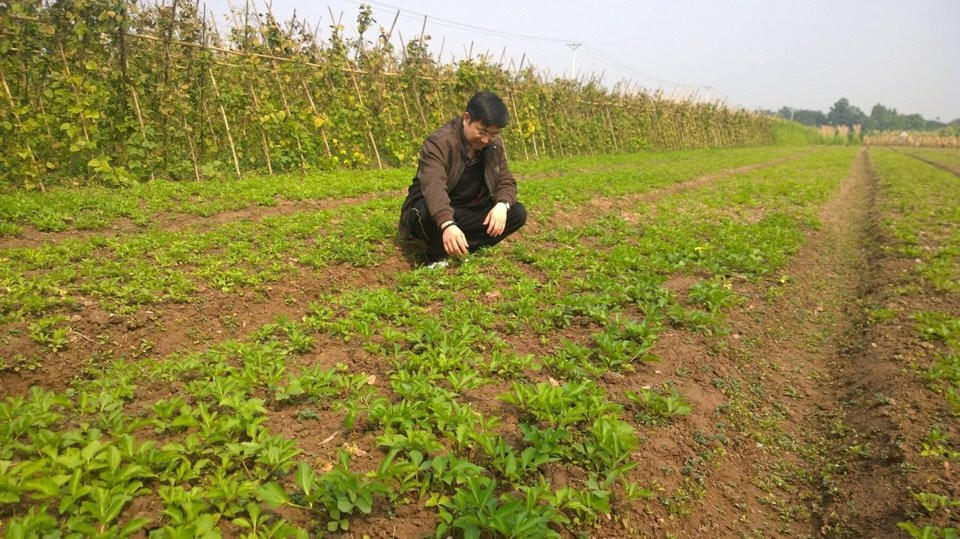 Thượng tôn pháp luật để bảo tồn tinh hoa Nam y Việt