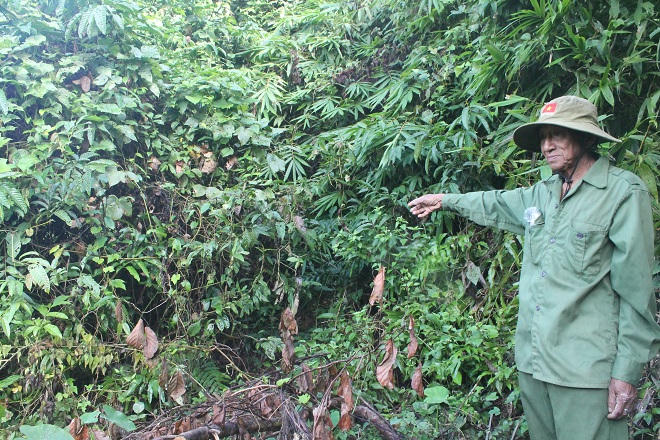 Ký ức già làng S’Tiêng về con tê giác cuối cùng của Việt Nam