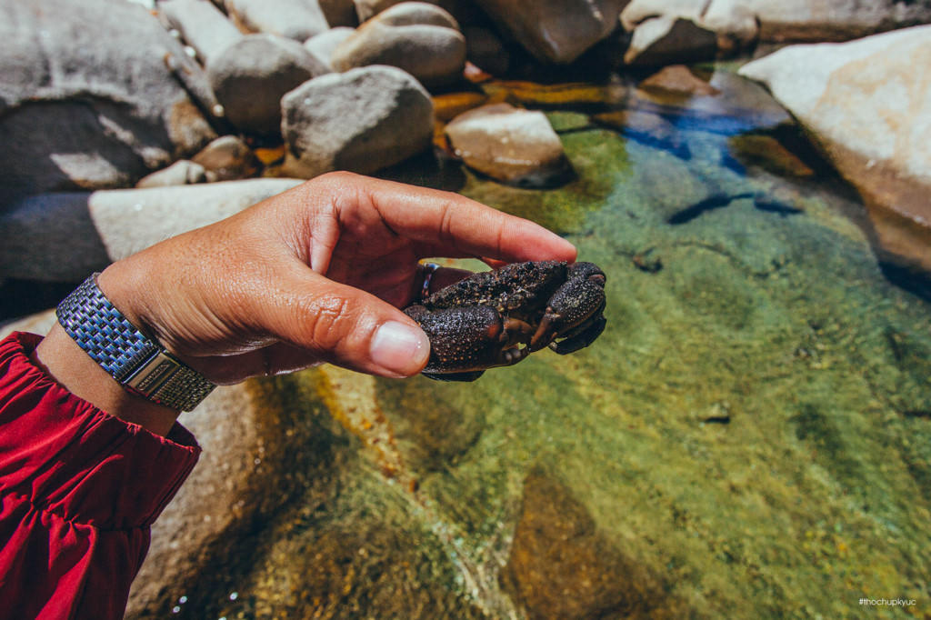 He ve Cu Lao Cau bat cua, ngam bien xanh trong vat hinh anh 17