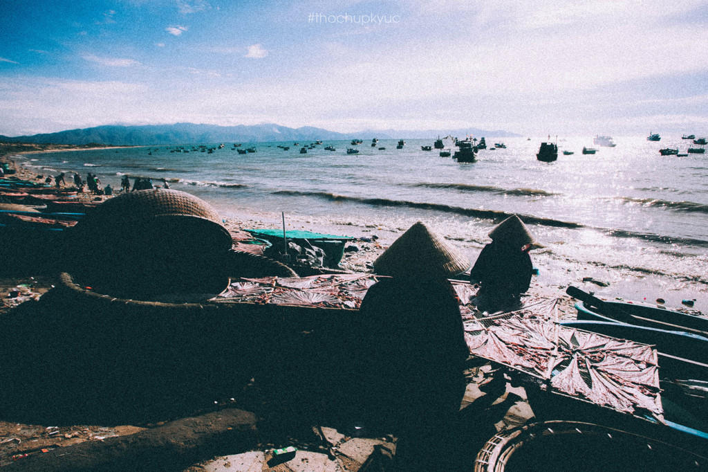 He ve Cu Lao Cau bat cua, ngam bien xanh trong vat hinh anh 4