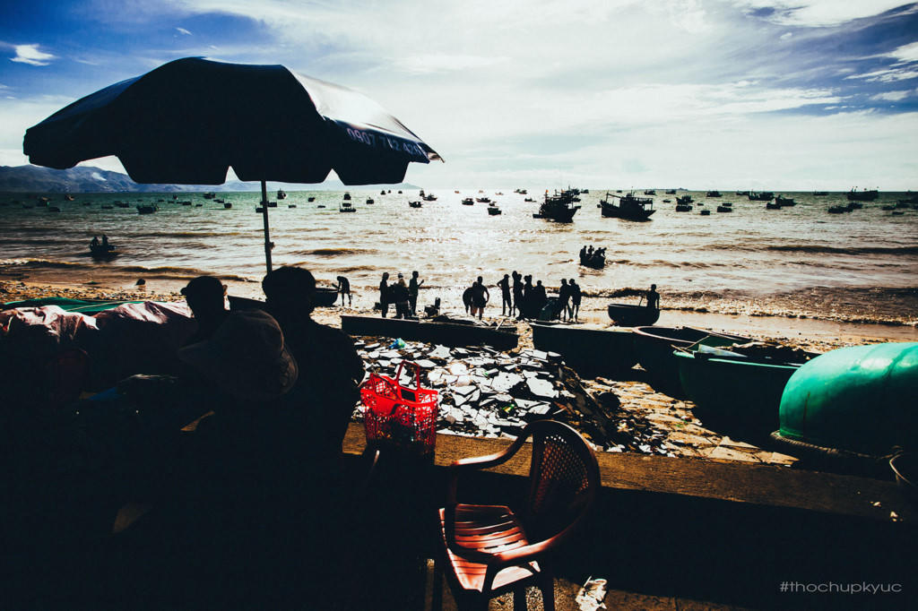 He ve Cu Lao Cau bat cua, ngam bien xanh trong vat hinh anh 5