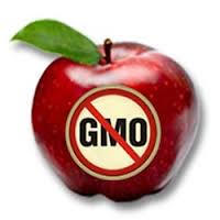 Monsanto – tội đồ của môi trường toàn cầu Kỳ 6 - Tham vọng bá chủ ngành công nghiệp giống cây trồng