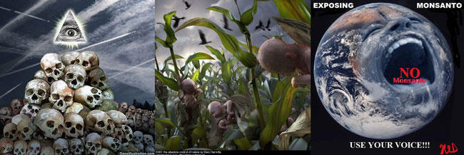 Monsanto – tội đồ của môi trường toàn cầu Kỳ 6 - Tham vọng bá chủ ngành công nghiệp giống cây trồng