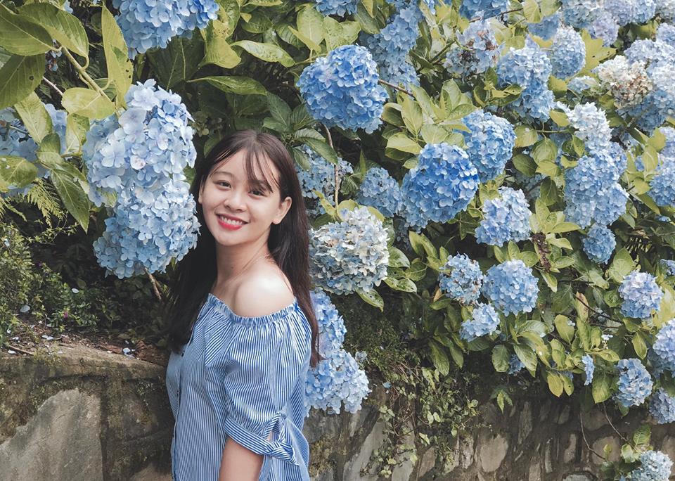 len cao bang "check-in" vuon hoa cam tu cau dep ngo ngang hinh anh 5