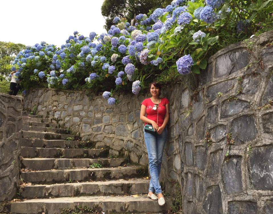 len cao bang "check-in" vuon hoa cam tu cau dep ngo ngang hinh anh 7