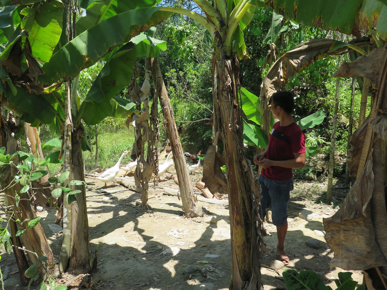 Nước mắt mặn chát của những người cha, người mẹ có con tàn đời vì ma túy