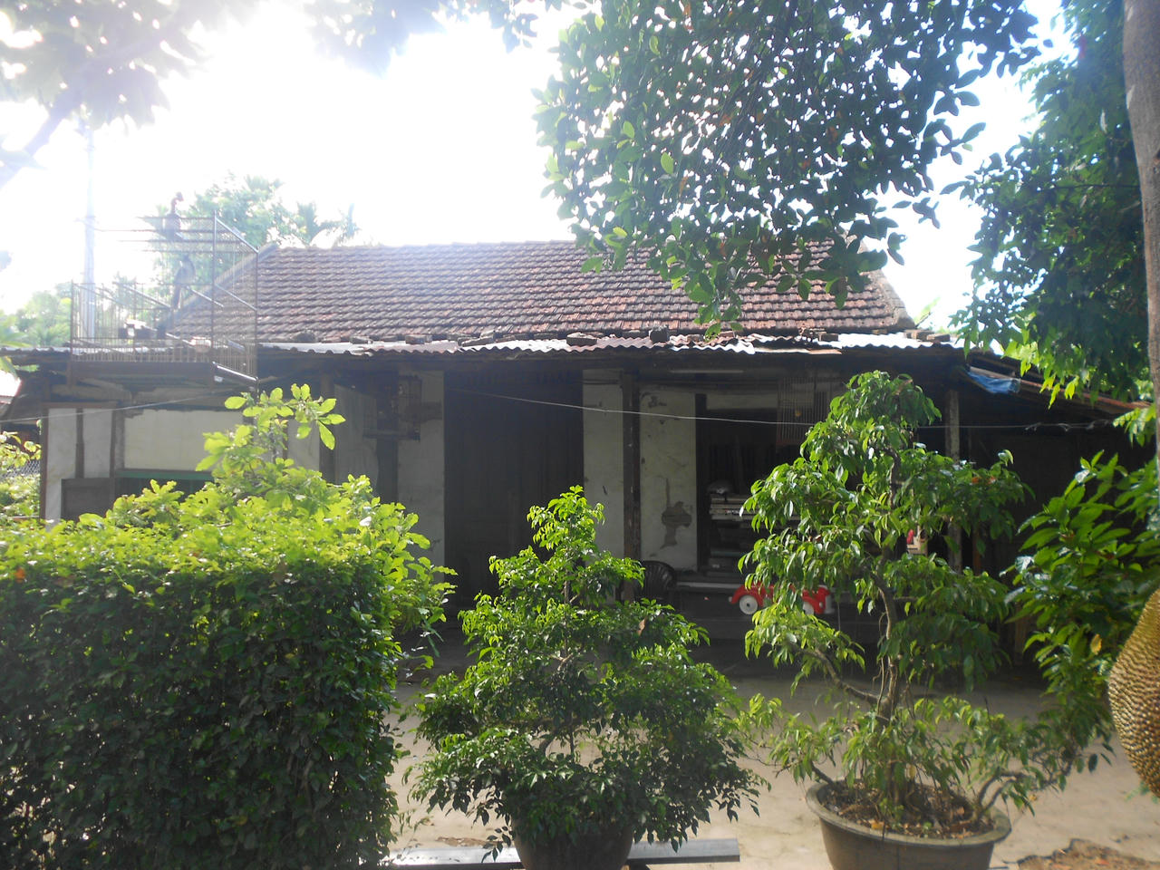 Nghi án cho mượn đất truyền đời hệ lụy 