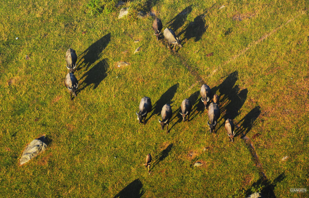 Ngam tron 'bien may, song sao' chi cach Ha Noi 150 km hinh anh 11