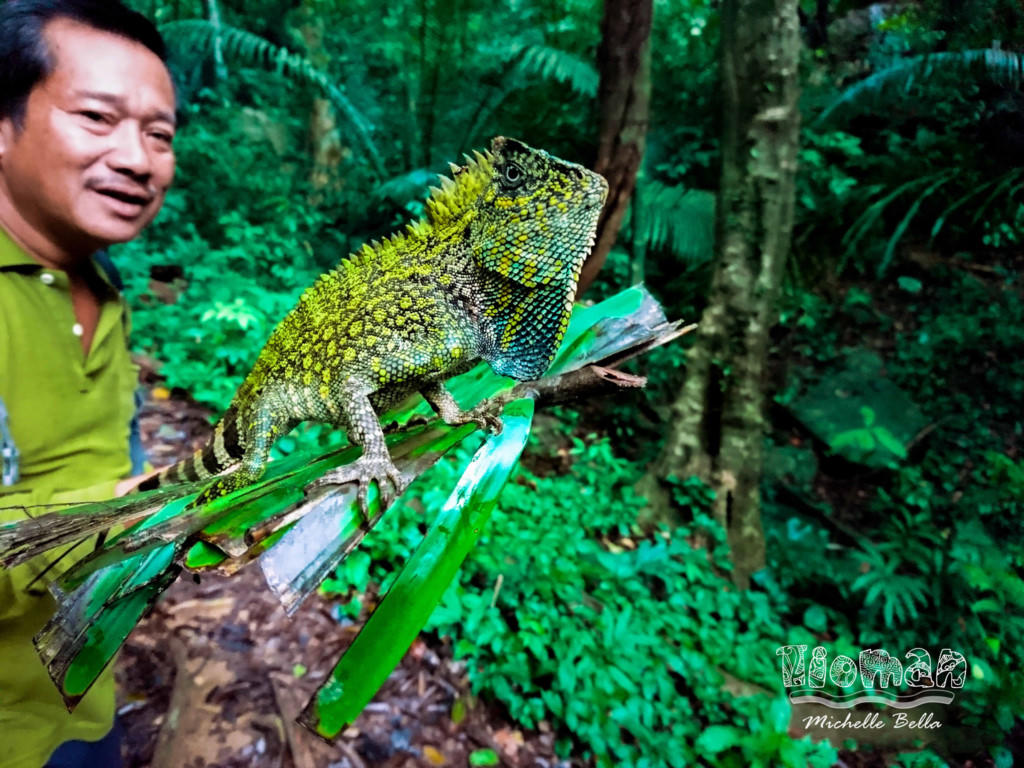 Tioman - bien xanh vay goi tin do 'song ao' hinh anh 10