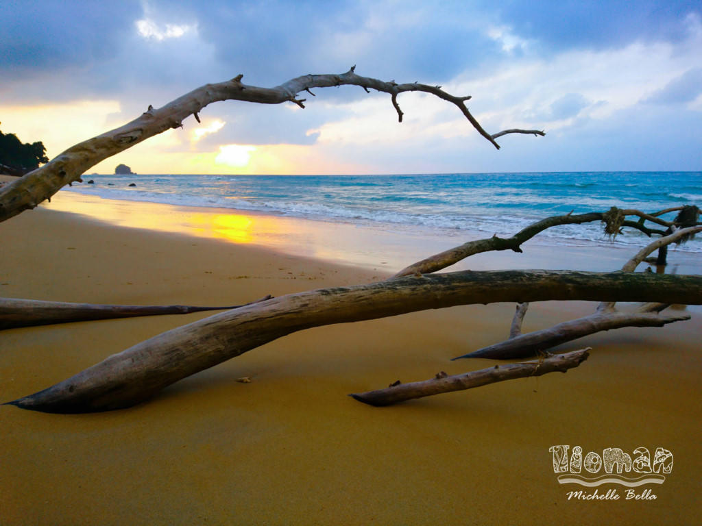 Tioman - bien xanh vay goi tin do 'song ao' hinh anh 7
