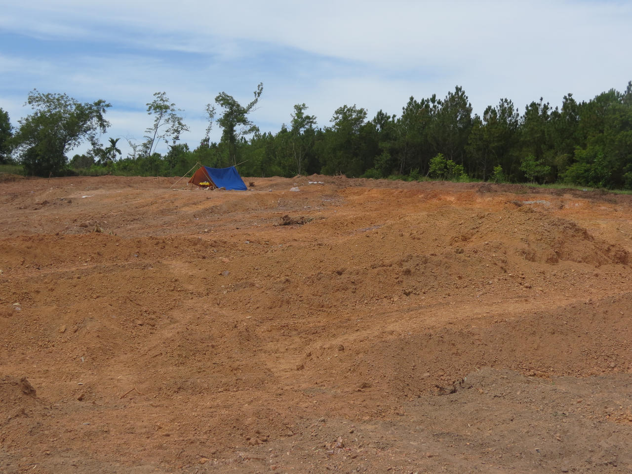 Ủi bay mộ thứ phi vua Tự Đức: Có một lời nói dối