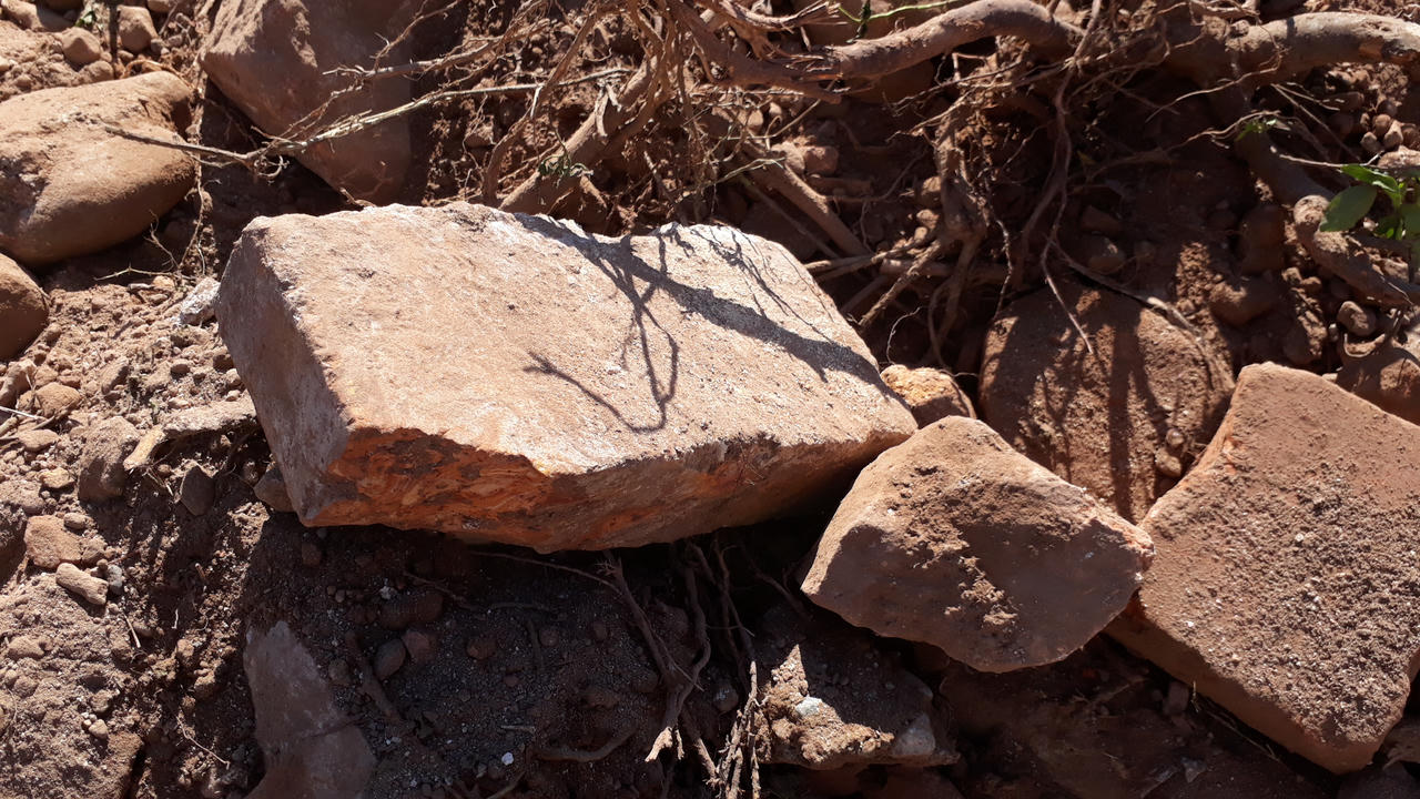 Ủi bay mộ thứ phi vua Tự Đức: Có một lời nói dối