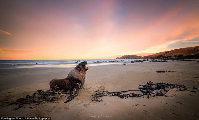 ngam khung canh bau troi dep chua tung thay o new zealand hinh anh 11