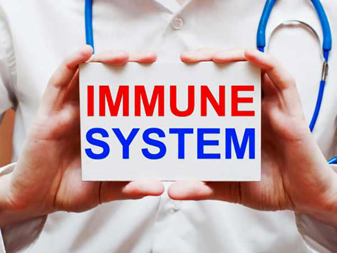 chuyen gi se xay ra khi ban an mot qua trung vao bua sang moi ngay hinh 4