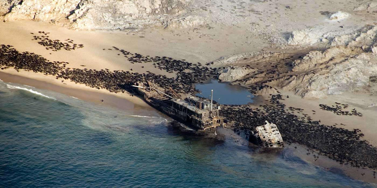 bai bien dep - elle viet nam