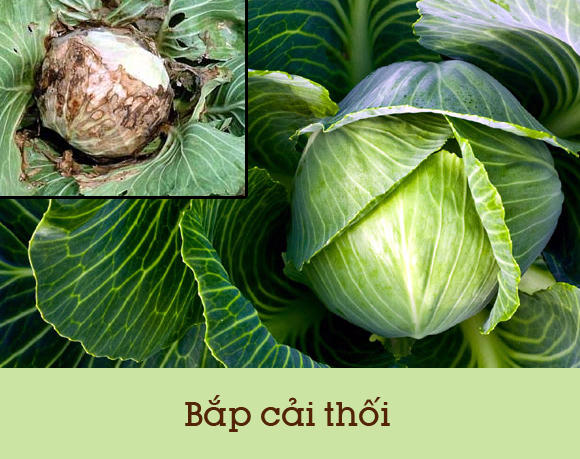 10-loai-thuc-phm-doc-page-8-1