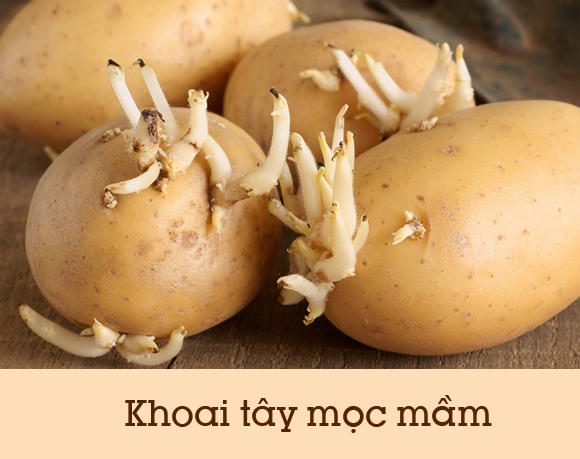 10-loai-thuc-phm-doc-1