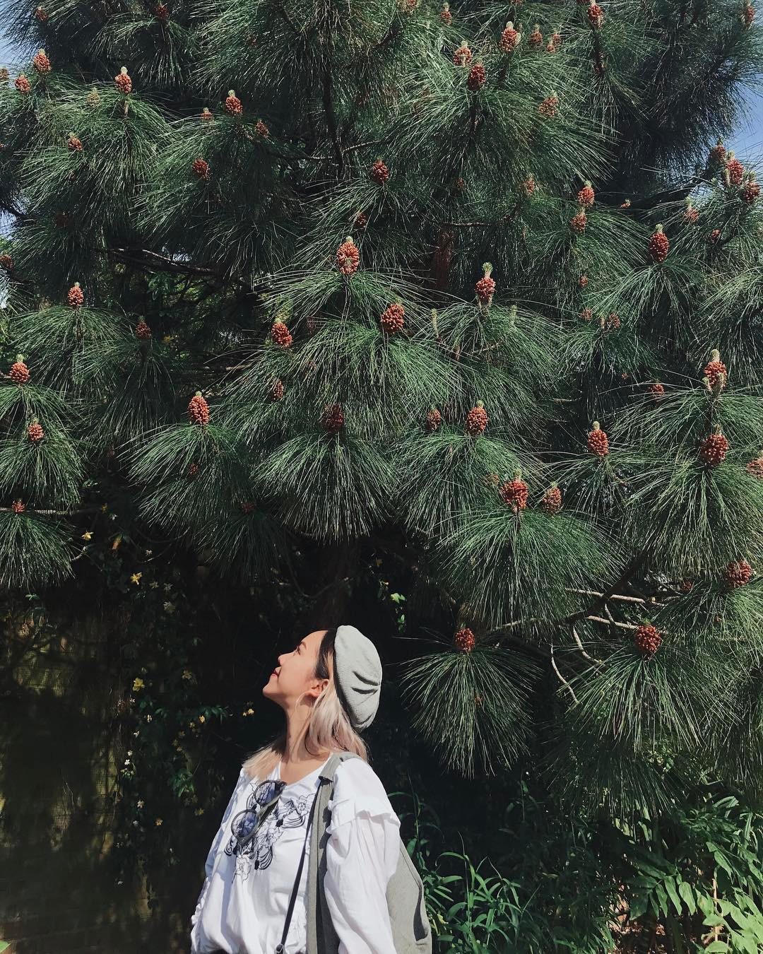 Không chỉ viết về thời trang, cô nàng còn review về những spa uy tín lòng vòng thành phố, hay tiệm tóc cô thường lui đến cho phái đẹp tham khảo.