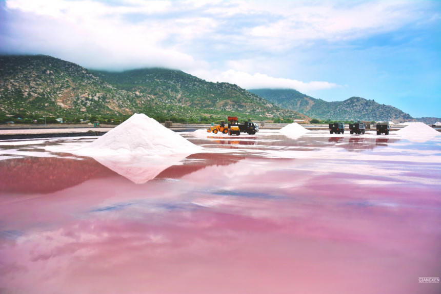 Mua he ruc lua tren cung duong bien dep nhat Viet Nam hinh anh 6