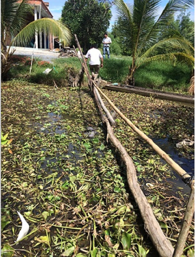 Nối những niềm vui đôi bờ