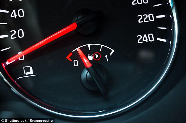 Tac dung bat ngo cua nhung mon do tuong nhu thua thai hinh anh 1