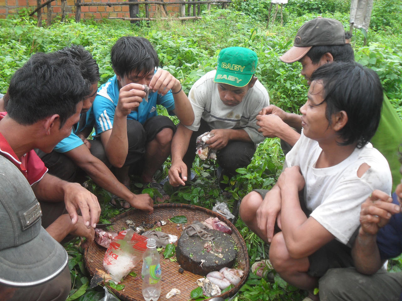 Bí hiểm chuyện người rừng không đuôi, ăn thịt sống và chỉ biết khóc