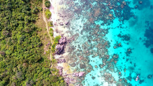 hon-dao-san-ho-tu-vo-danh-tro-thanh-tu-khoa-hot-voi-cac-phuot-thu-8