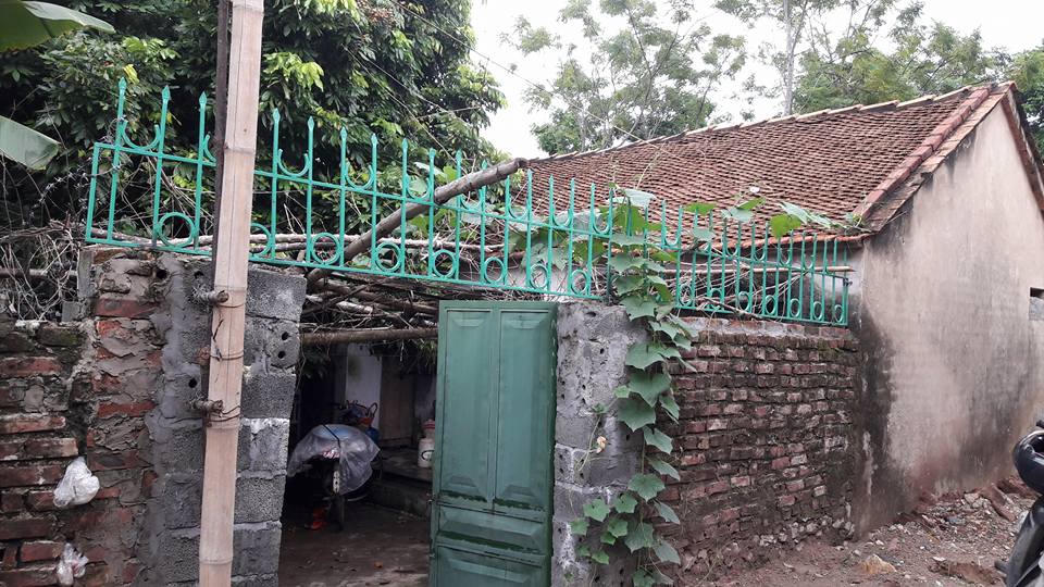 Cử nhân quốc tế không xin được việc, phát bệnh tâm thần, gây án giết người