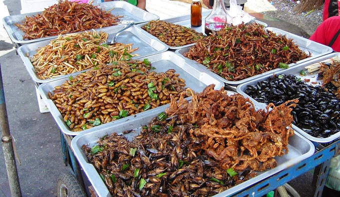 Độc đáo món đặc sản côn trùng ở Campuchia